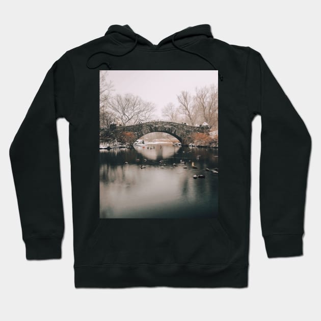 New York Winter 2 Hoodie by igjustin